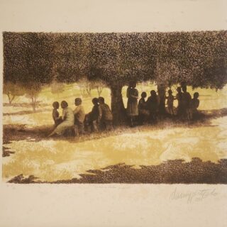 Sombras ao Entardecer