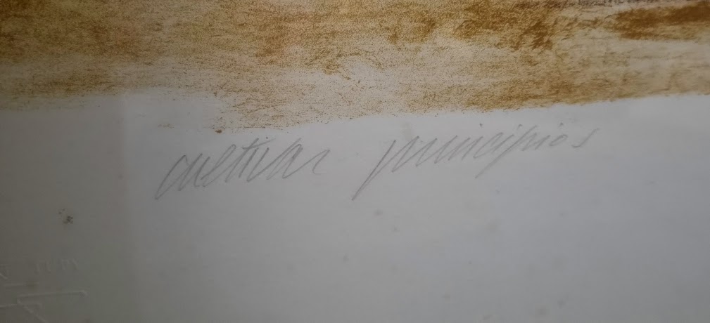 Cultivar Princípios - Imagem 4